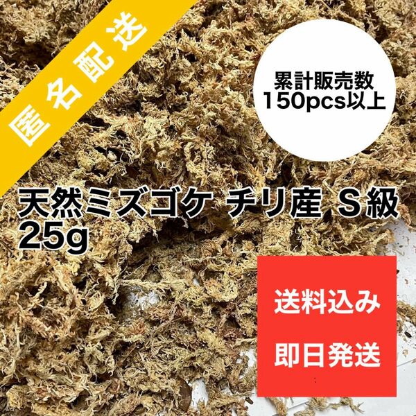 天然水苔 ミズゴケ 水ごけ 乾燥水苔 チリ産 Ｓクラス 25g