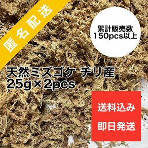 天然水苔 ミズゴケ 水ごけ 乾燥水苔 チリ産 25g×2pcs