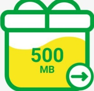 mineo(マイネオ) パケットギフト 500MB 0.5GB