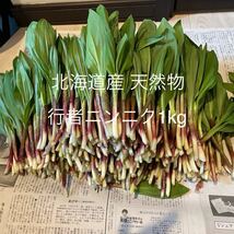 北海道産 天然物 行者ニンニク 1kg_画像1