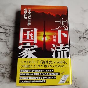 大下流国家　「オワコン日本」の現在地 （光文社新書　１１６０） 三浦展／著