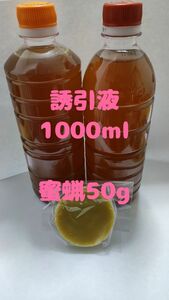 日本蜜蜂誘引液1000ml ミツロウ50g