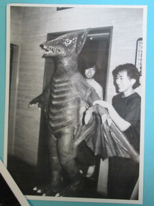  rare special effects materials *1984 year [ Gamera ][ large . god ] Event photograph B