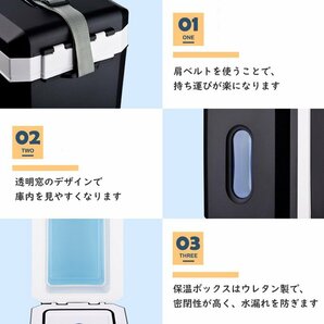 10L車載冷蔵庫 ポータブル冷蔵庫 -10℃～+65℃調整 持ち運べる小型冷蔵庫 クーラーボックス 家庭用車載用 静音 DC12V/24V ブラウンの画像9