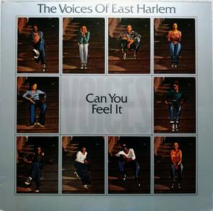 【LP Soul】The Voices Of East Harlem「Can You Feel It」JPN盤