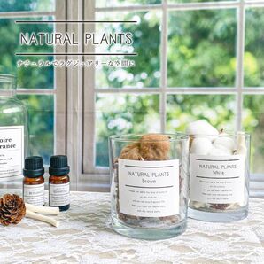 【2つセット】ナチュラルプランツ (ブラウン) アロマプラント アロマ