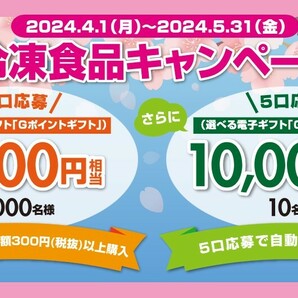 レシート懸賞応募 冷凍食品キャンペーン 選べる電子ギフトGポイントギフト1000円相当当たる 5口で10000円相当の画像1