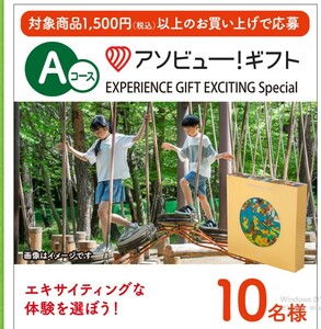 レシート懸賞応募 金鳥の渦巻キャンペーン　Aコース　アソビューギフト当たる　