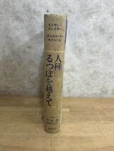 L59◇初版【人種のるつぼを超えて 多民族社会アメリカ】ネイサン・グレイザー＆ダニエル・P・モイニハン（著）/阿部 齊・飯野正子 訳240428_画像2