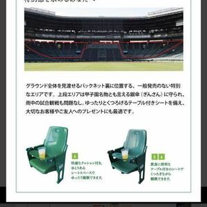 5月18日（土）阪神 vs ヤクルト 甲子園 グリーンシート1-5段どこか通路側より２席 先着でチケットホルダープレゼントありの画像4