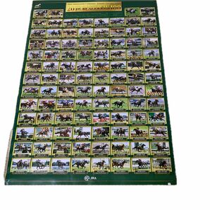 日本中央競馬会　　20世紀名馬100 ポスター