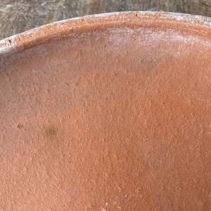 受け皿 素焼き 観葉植物 山野草 草花 花 植物 雑木 園芸 ガーデニング 陶器の画像7