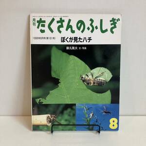 240417【ふしぎ新聞付き美品】月刊たくさんのふしぎ 「ぼくが見たハチ」1998年8月号(第161号)★希少古書美品図鑑絵本福音館書店