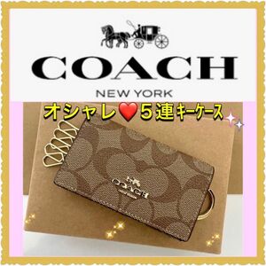 COACH コーチ 5連 キーケース ブラウン　シグネチャー