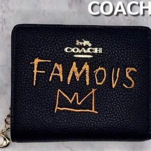 【新品・美品】COACH コーチ ミシェル・バスキア コラボ ブラックマルチ