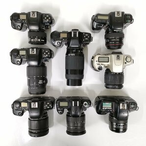 Nikon F-801s , F-601 , F70 , F60 , F50 , u2 他 一眼レフ 8点セット まとめ ●ジャンク品 [8723TMC]の画像8