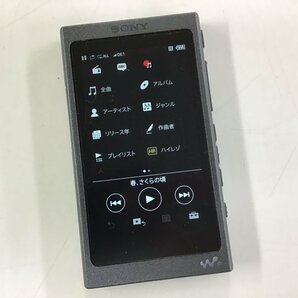 SONY NW-A35 ソニー walkman ポータブル デジタルオーディオプレーヤー◆現状品 [3890W]の画像1