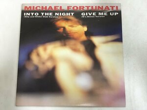 12inch / MICHAEL FORTUNATI / INTO THE NIGHT [9102RR]