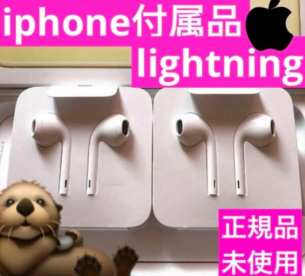iPhone付属品 純正イヤホン ライトニング形状 Apple正規品 Lightning 2個 有線イヤホン