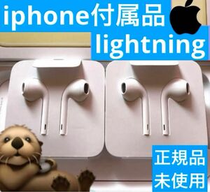 iPhone付属品 純正イヤホン ライトニング形状 Apple正規品 Lightning Apple 2個セット 有線イヤホン