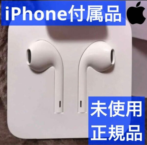 iPhone付属品 イヤホン 純正 ライトニング形状 Apple正規品 Lightning Apple アップル