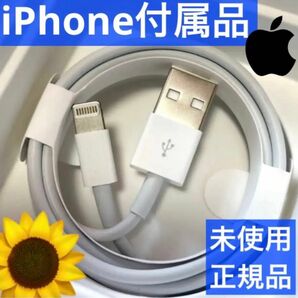 iPhone ライトニングケーブル 純正品 Apple正規品 純正ケーブル 1m 充電ケーブル