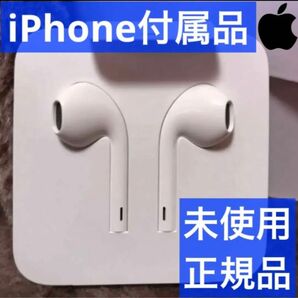 iPhone付属品 純正イヤホン ライトニング形状 Apple正規品 Lightning 有線イヤホン