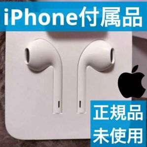 iPhone付属品 純正イヤホン ライトニング形状 Apple正規品 Lightning 有線 Apple