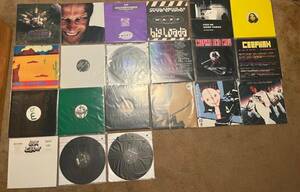 Rephlex Warp Records Lot Acid IDM Ambient Jungle Aphex Twin Squarepusher Ceephax 海外 即決