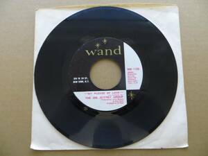 Joe Jeffrey Group - My Pledge Of Love / 1969 Wand WND 11200 7" バイナル Single VG+ 海外 即決