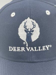Deer Valley AHEAD Professional Ball Cap ~ Midfit Navy Color 海外 即決