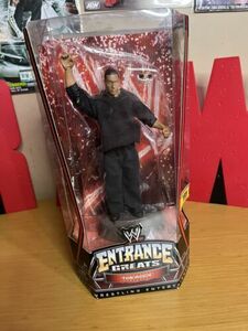 WWE Wrestling Entrance Greats The Rock Action Figure 海外 即決