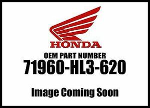 Honda 2017-2018 Pioneer SXS Pipe Upper 2P 71960-HL3-620 New OEM 海外 即決