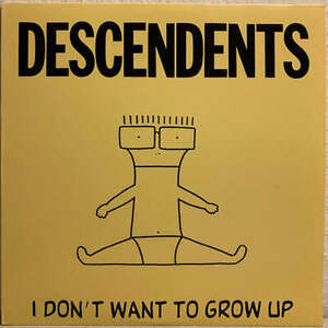 Descendents I Don't Want To Grow Up バイナル LP Record 海外 即決