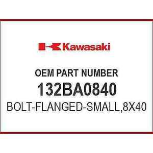 Kawasaki BOLT-FLANGED-SMALL 132BA0840 OEM NEW 海外 即決