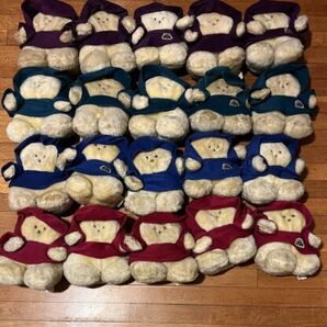 VINTAGE Chubbles Plush Lot of 20 Red Purple Green Blue Tunic Toy UNTESTED 80s 海外 即決の画像1