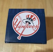 New York Yankees R 5