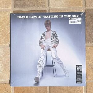 David Bowie - Waiting In The Sky 2024 RSD Vinyl LP RECORD STORE DAY EXCLUSIVE 海外 即決