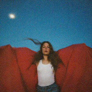 Heard It in a Past Life by Maggie Rogers (CD, 2019) New Sealed 海外 即決