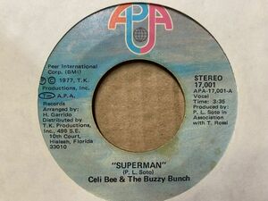 CECIL BEE & THE BUZZY BUNCH “Superman/Hurt Me Hurt Me” Disco ファンク 45 海外 即決