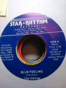 The Vikings, Blue Feeling ~ 1981 Star Rhythm 45 海外 即決