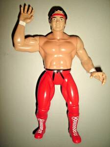 RICKY STEAMBOAT FIGURE LEGENDS OF PROFESSIONAL WRESTLING SERIES 21 RARE WWE WCW 海外 即決