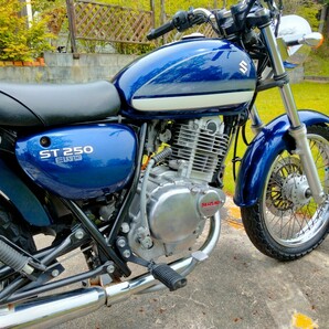 SUZUKI ST250 ガレージ保管の画像8