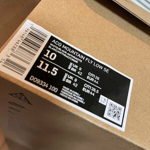 【28CM】NIKE ACG MOUNTAIN FLY LOW SE ナイキ エーシージー マウンテンフライ ロー【US10】の画像6