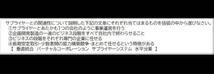 改訂対応　CPP B級　調達プロフェッショナル資格 予想問題　B　300問_画像6