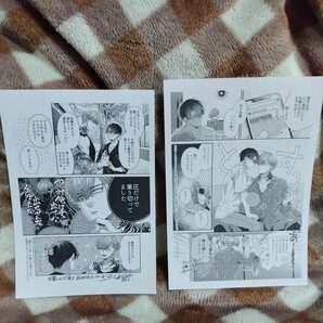 桐式トキコ 躾けてとかして暴いて愛でて ２ アニメイト限定セット 小冊子 ペーパー シャルルコミックの画像3