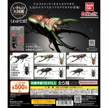 バンダイ　くわがた07　エラフスホソアカクワガタ（銅色）・ゼブラノコギリクワガタ　ほぼ定価即決_画像1