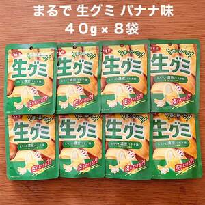 SSB まるで 生グミ バナナ味 40g × 8袋 キャンディー