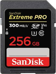 新品、未開封、SanDisk、SDカード、256GB、SDSDXDK-256G-GHJIN