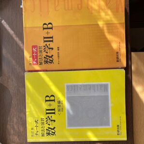 チャート式 解法と演習 数学II+B 改訂版/チャート研究所 (編著)